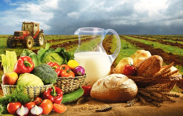 Kazakistan’da tarımsal brüt üretim hacmi %3,7 oranında arttı