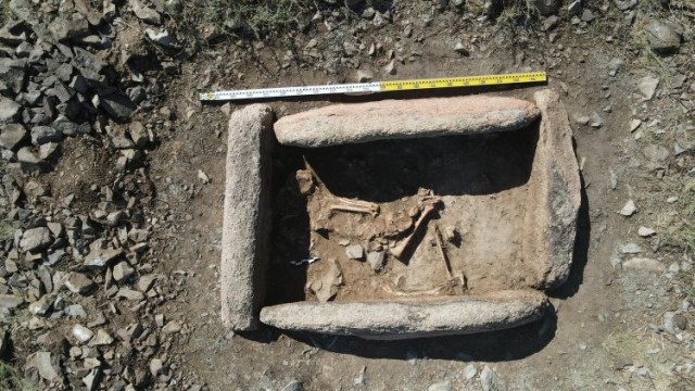 Павлодар облусунда археологдор сак көчмөндөрүнүн коло бычактарын тапты