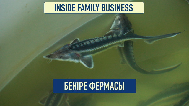 Балық шаруашылығы: табысты еселеудің тиімді жолы