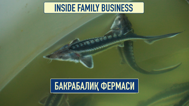 Балиқ хўжалиги: даромад топишнинг самарали йўли