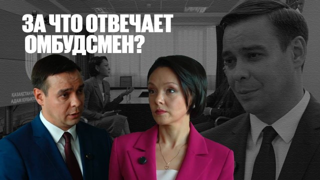 Какие ключевые вопросы входят в сферу ответственности омбудсмена?