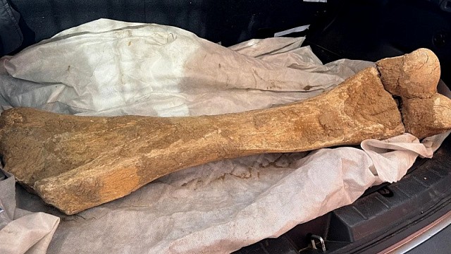 Archaeologists find 15,000-year-old mammoth bone in northern Kazakhstan