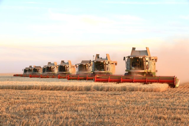 Kazakhstan harvests record 27.1 million tonnes of grain