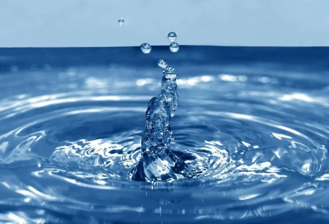 Experts discuss international water cooperation in Uzbekistan