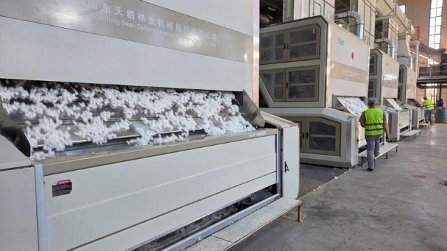 Cotton cluster to be established in Turkistan region