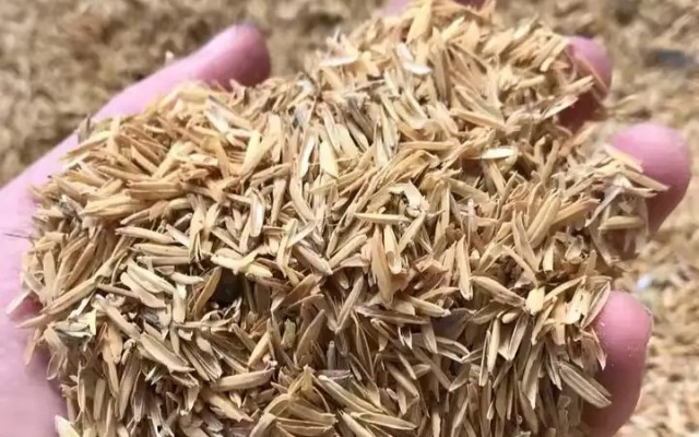 Kazakh scientists develop methods for using rice husks