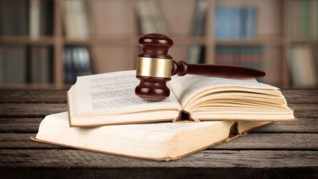 Mazhilis adopts 100 laws in 2025