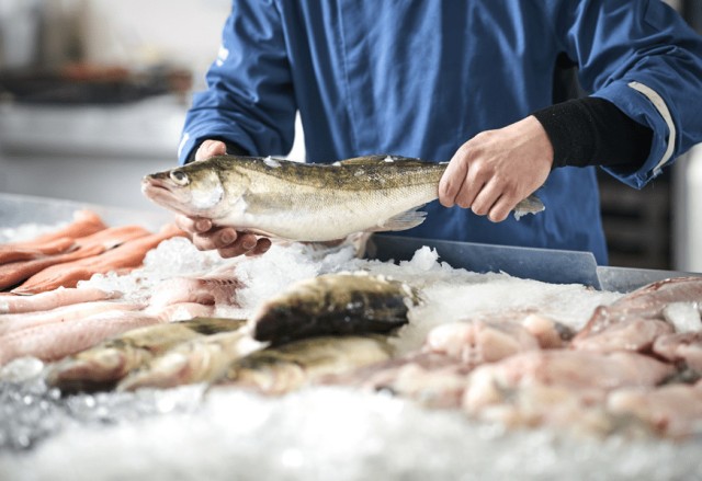 4.6 billion tenge invested in Kazakhstan’s fisheries sector