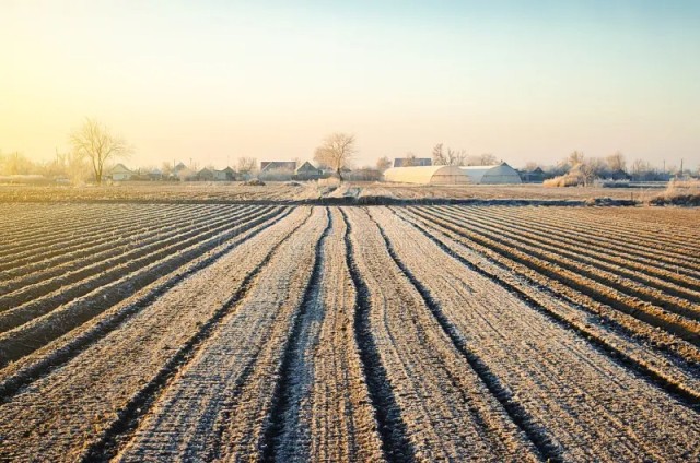 Қазақстанда егістік науқанына дайындық басталды