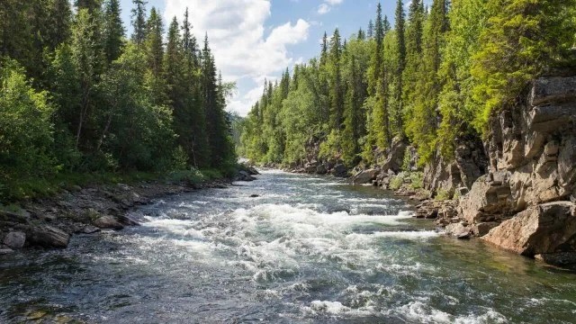 Казахстан укрепляет сотрудничество по трансграничным рекам