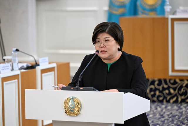 Дипломаттар жаңа Конституция жобасына жоғары баға берді