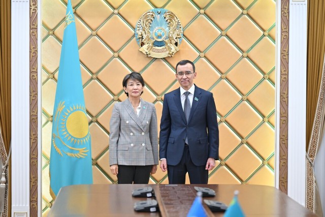 Сенаттын Төрагасы БУУнун Казакстандагы Туруктуу координатору менен жолугушту