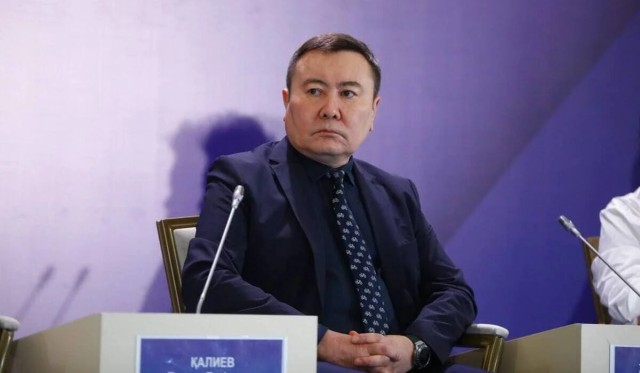 Жаңа Конституция берік институционалдық негіз қалыптастырады